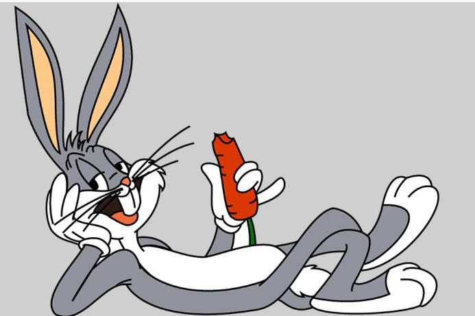 🌍Coelho Perna longa – Longlegs rabbit