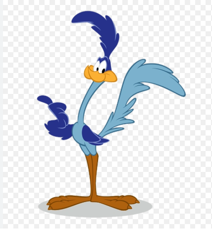 🌍Papa léguas  Road Runner