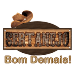 📻Sertanejo bom D+