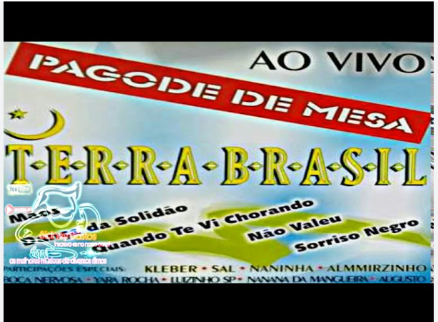 🎵Terra Brasil